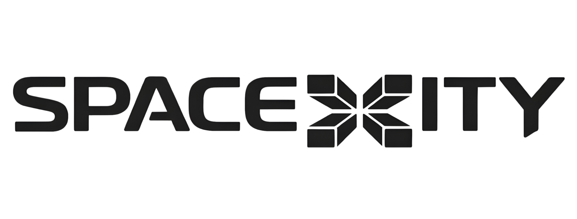 SpaceXity